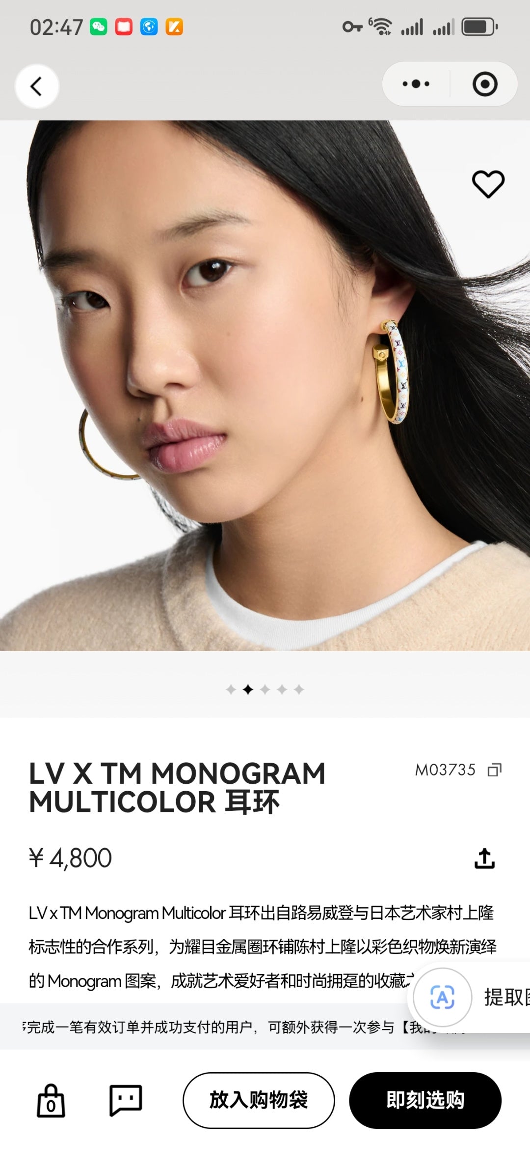 Louis Vuitton Accessories