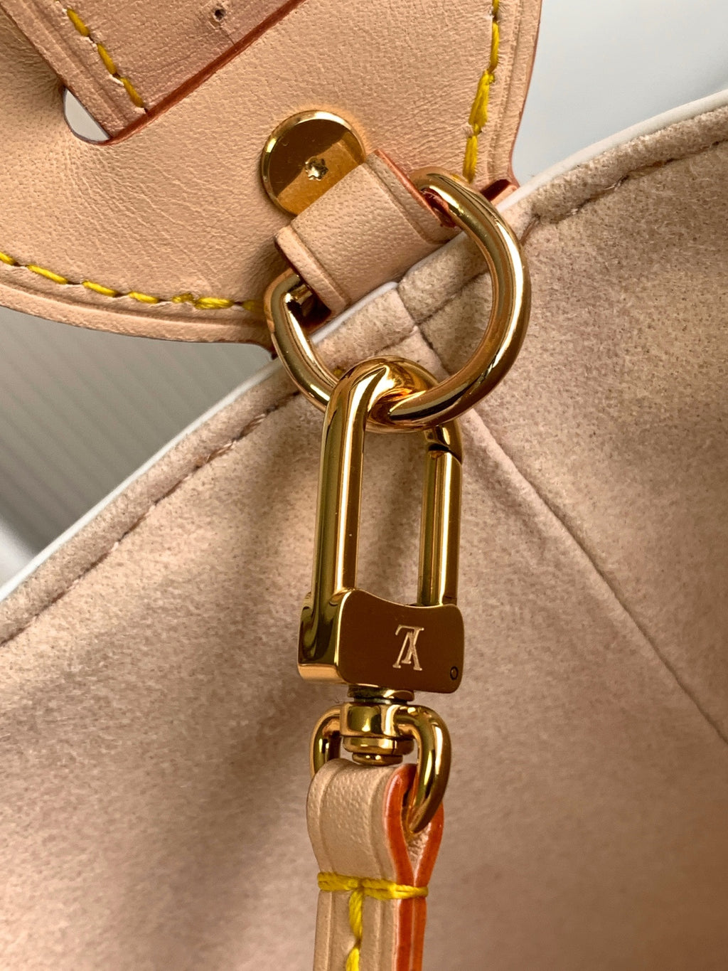 Louis Vuitton multicolor monogram mini bag close-up of gold clasp and key ring