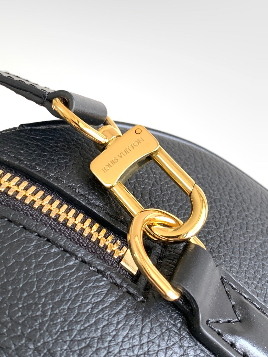 Louis Vuitton bag close-up of gold clasp and zip track on dark leather
