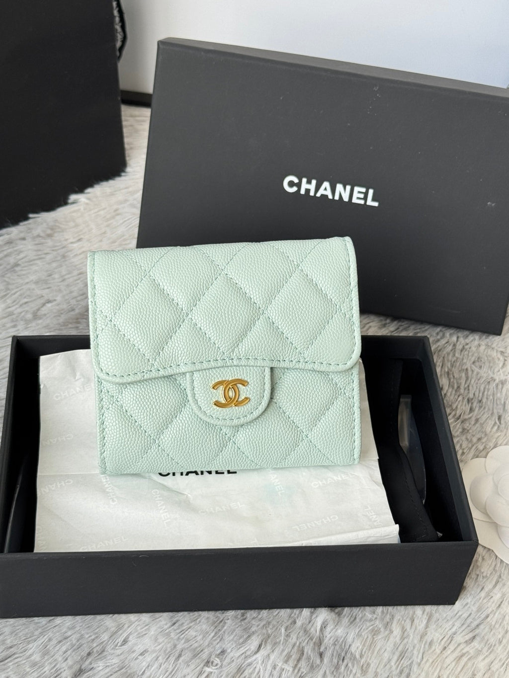 Mint quilted leather flap small bag with CHANEL CC logo, front view