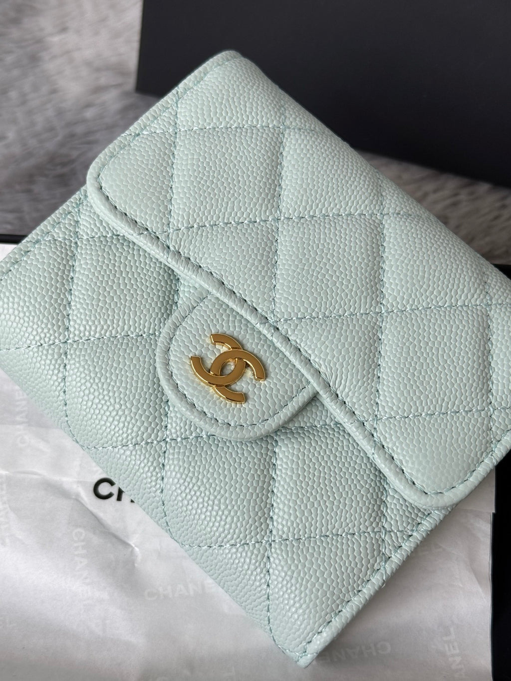 Mint quilted leather flap small bag with CHANEL CC logo detail