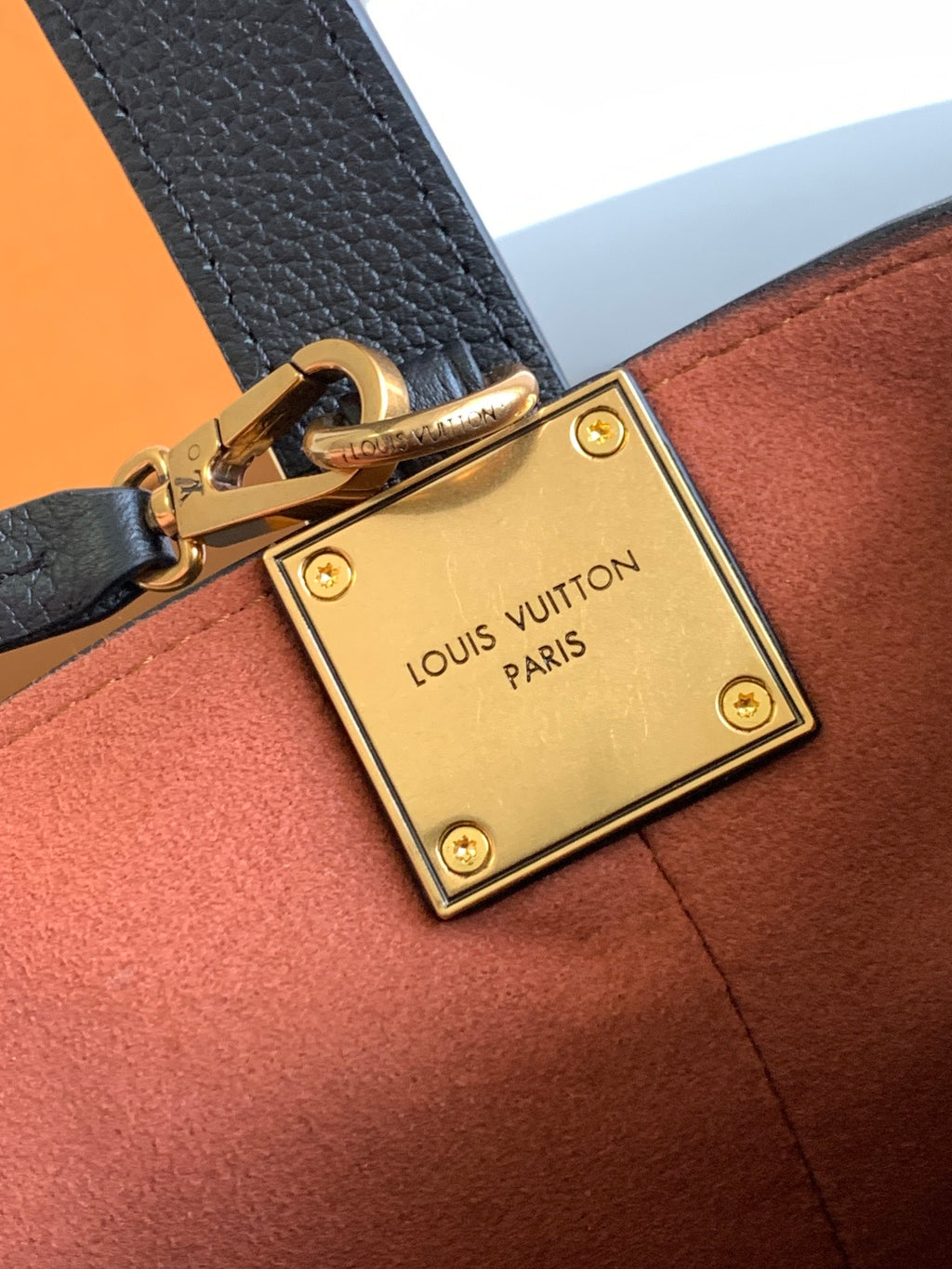 Gold square lock plate with clasp on black strap atop brown leather bag.