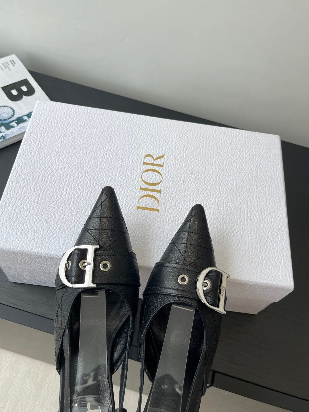 Luxury Shoes Dior Ladies