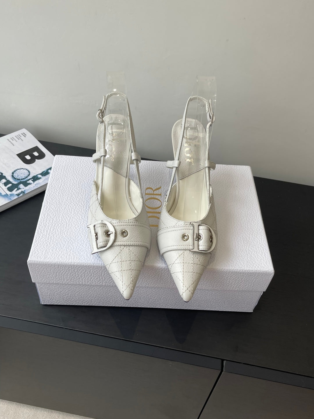 Luxury Shoes Dior Ladies
