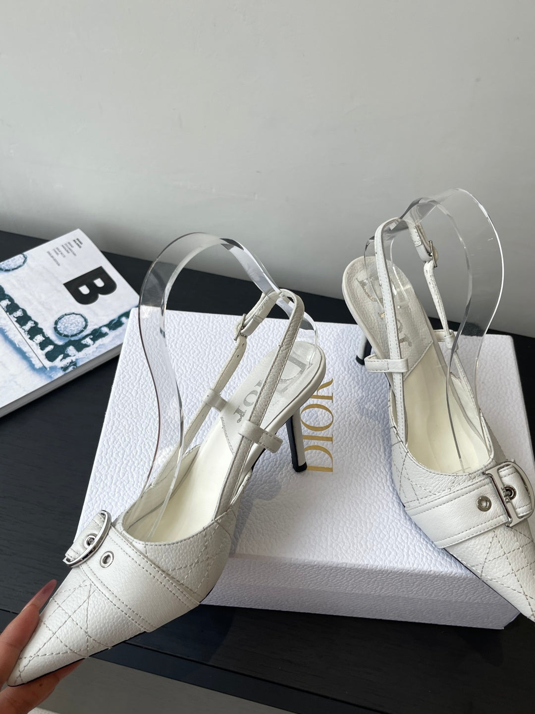 Luxury Shoes Dior Ladies