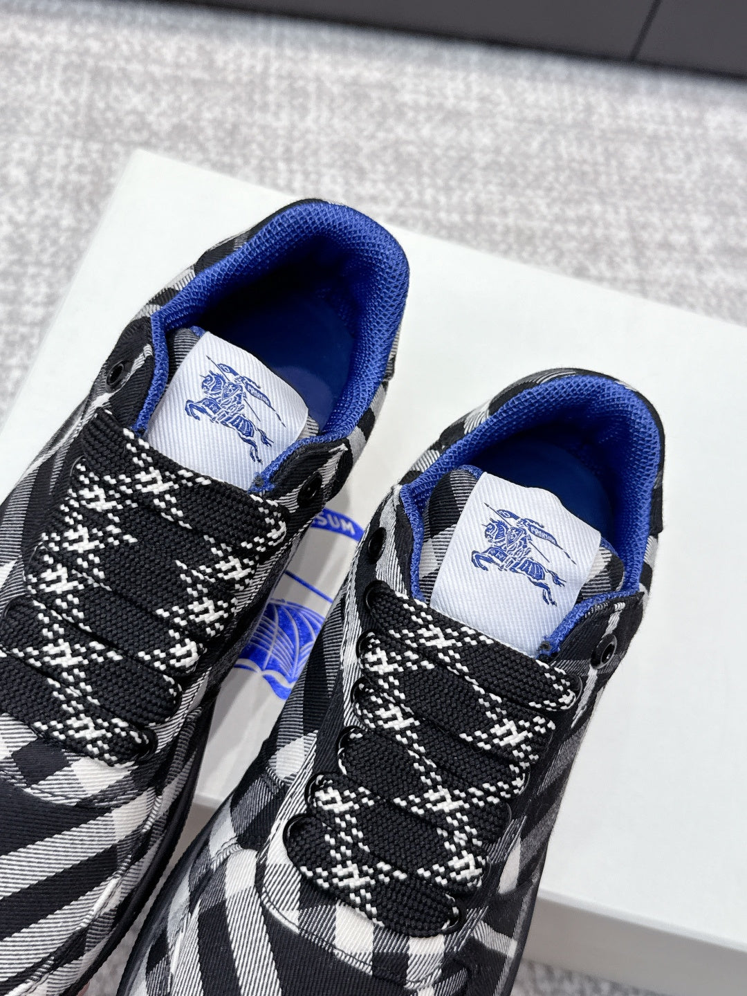Front of check-pattern sneakers showing blue interior lining and lace-up