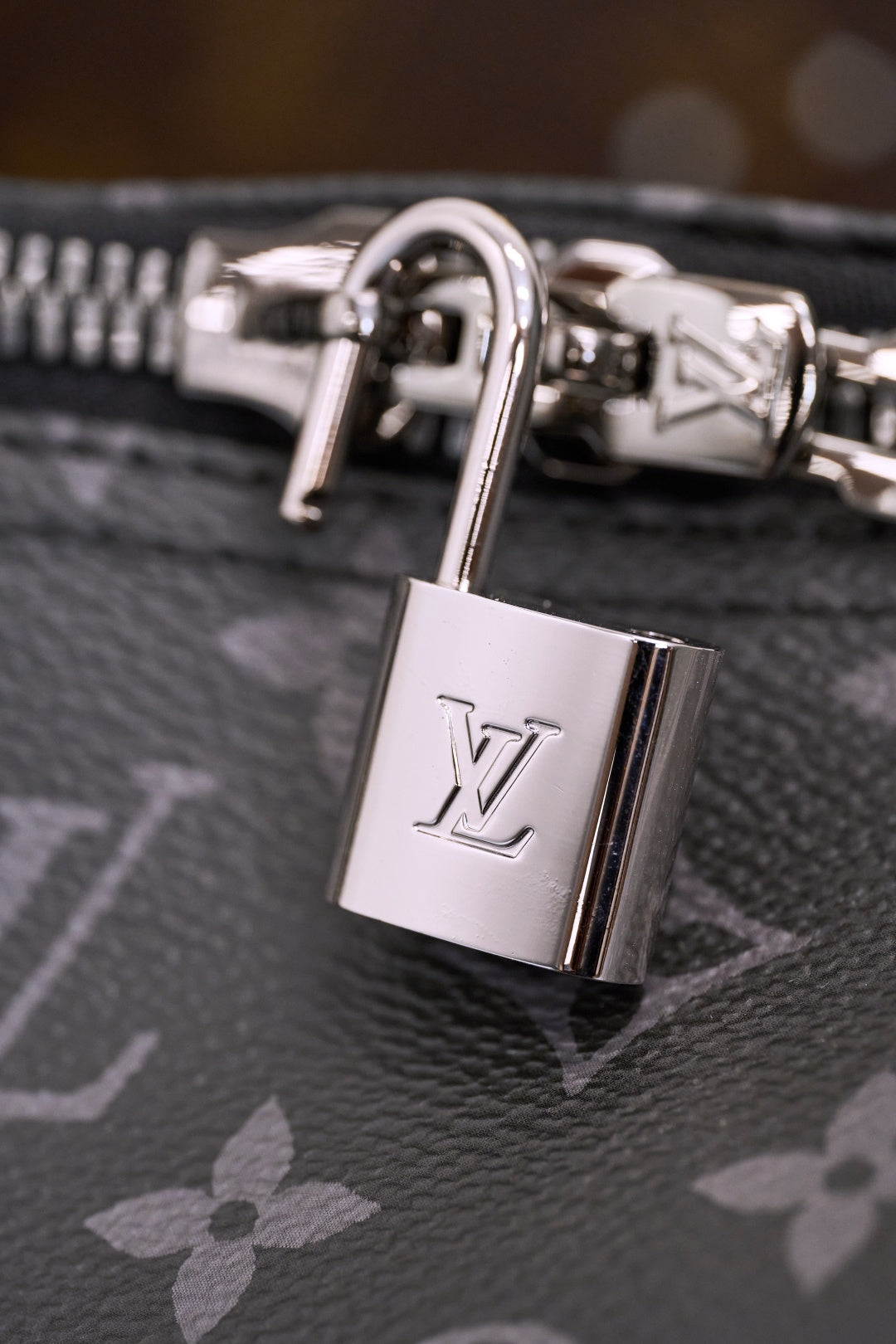 Louis Vuitton Bags