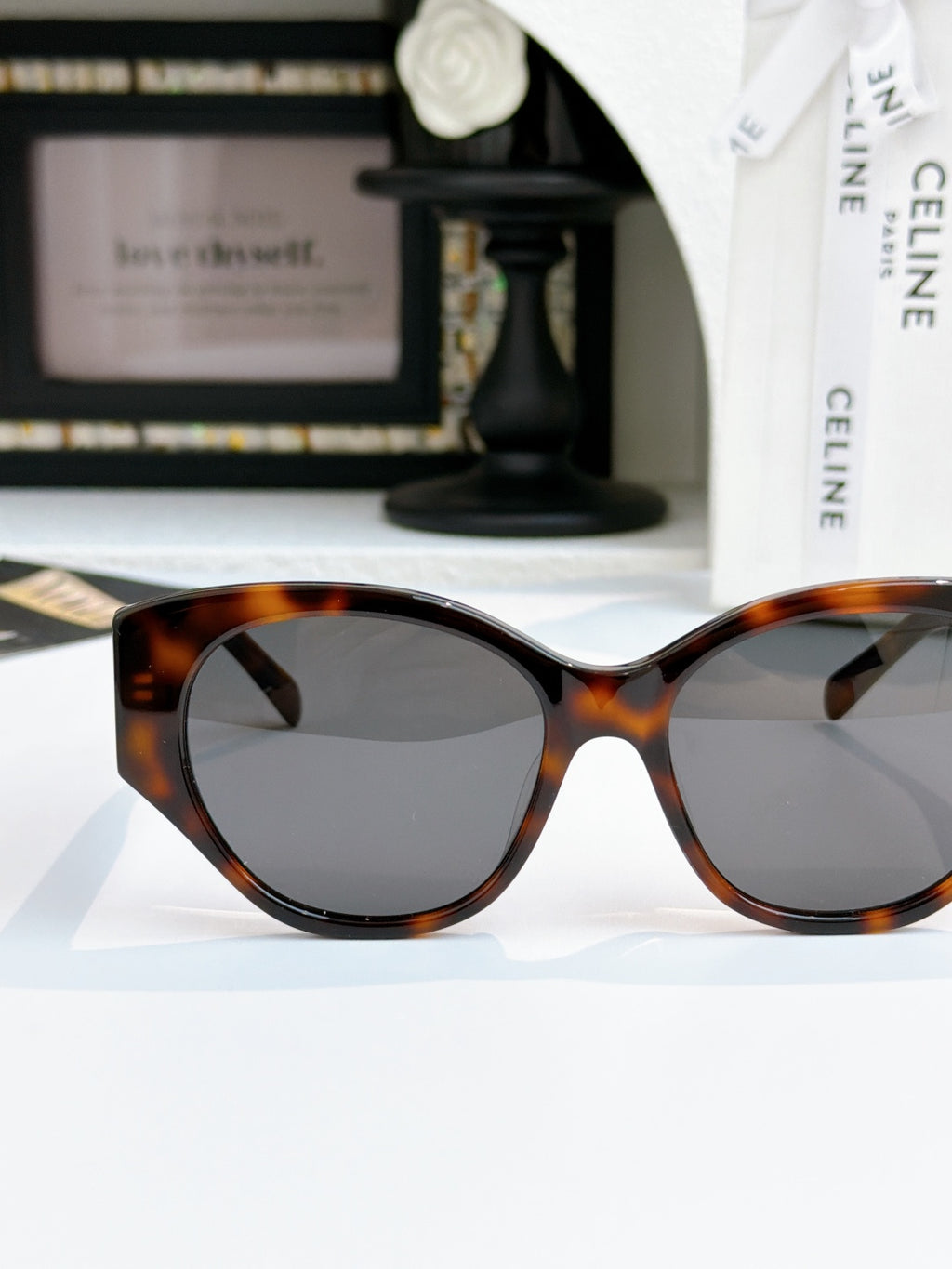 Celine cat-eye sunglasses with tortoiseshell frame and dark lenses, close-up of front
