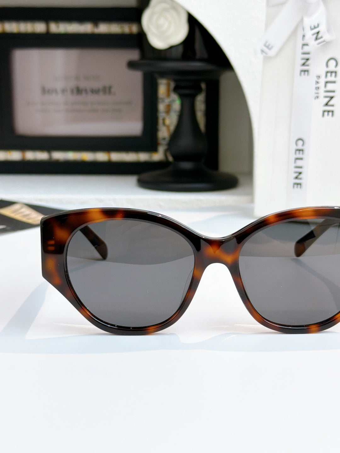 Celine cat-eye sunglasses with tortoiseshell frame and dark lenses, close-up of front