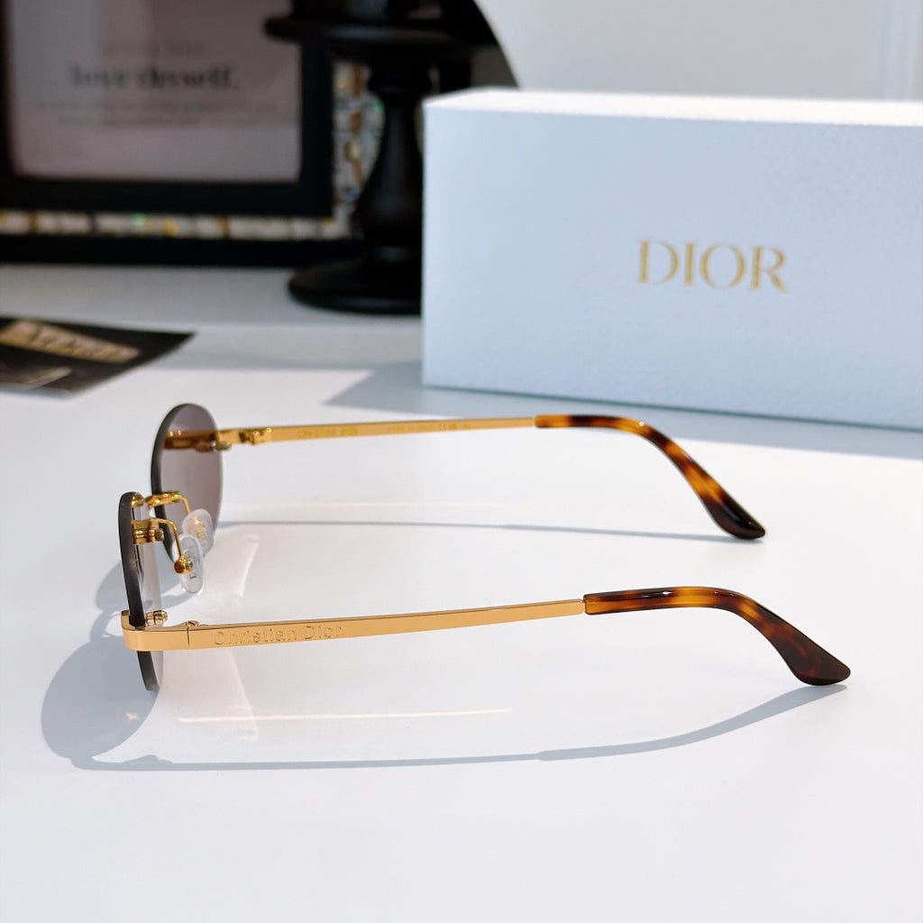 Dior sunglasses with tortoiseshell-look arms and clear oval lenses