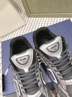 Dior sneakers pair view, grey uppers with white panels and Dior logo on tongue