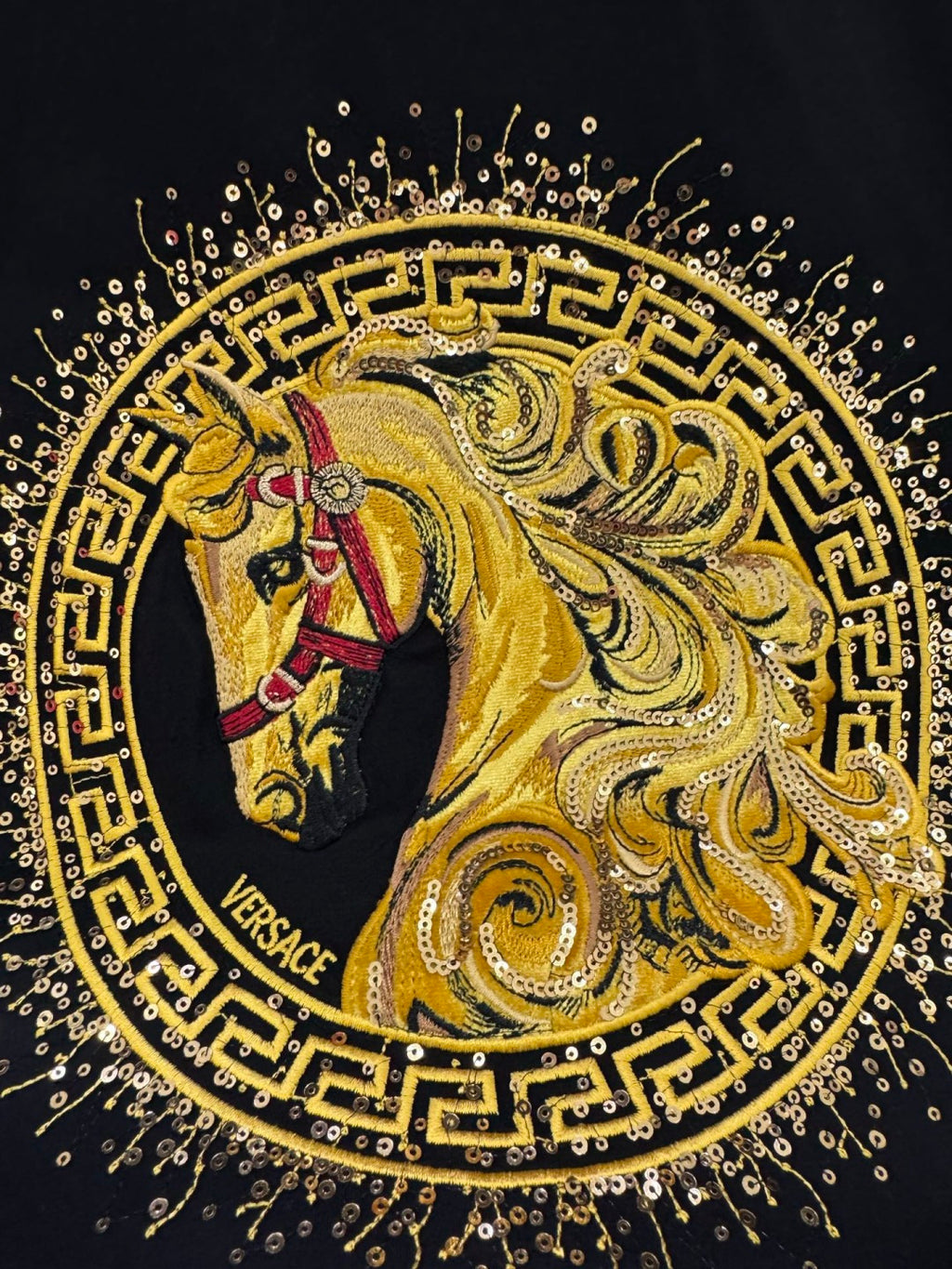 Versace T-shirt close-up of gold lion and horse graphic with “VERSACE” text
