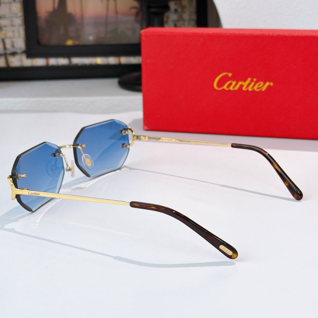 Gold metal octagonal sunglasses with blue lenses and long dark tortoise temples