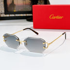 Gold metal octagonal sunglasses with dark gray lenses and dark tortoise temples