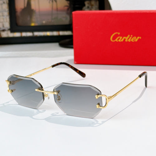 Gold metal octagonal sunglasses with dark gray lenses and dark tortoise temples