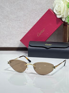 Gold-rim sunglasses with tan lenses and black temple tips