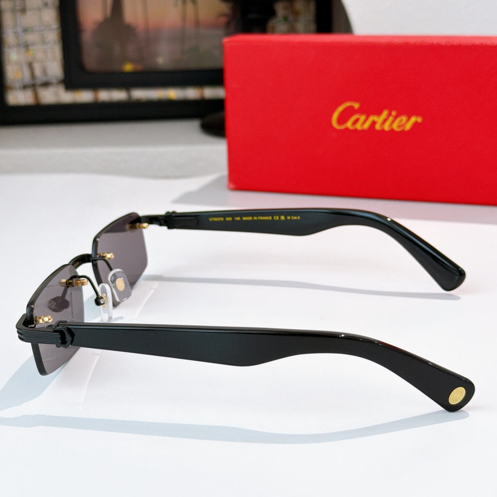 Sunglasses side view with dark lenses, black temples, and gold hinge details.