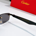 Sunglasses close-up: black temple with engraving and dark tinted lenses.