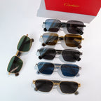Set of Cartier sunglasses with mixed lens tints and mixed frame colors