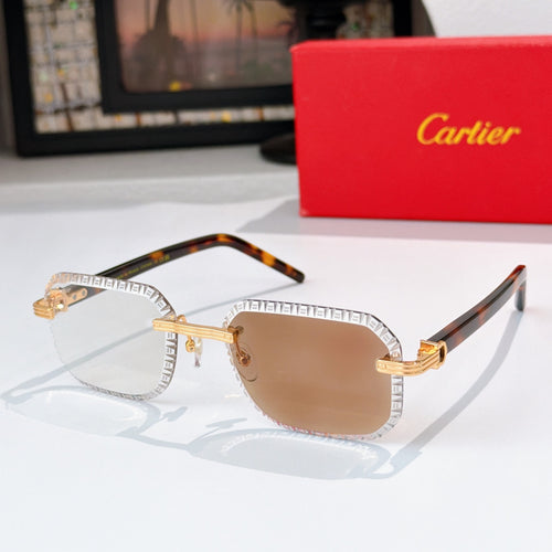Cartier sunglasses with silver-tone patterned frame, tortoise temples, tinted brown lenses