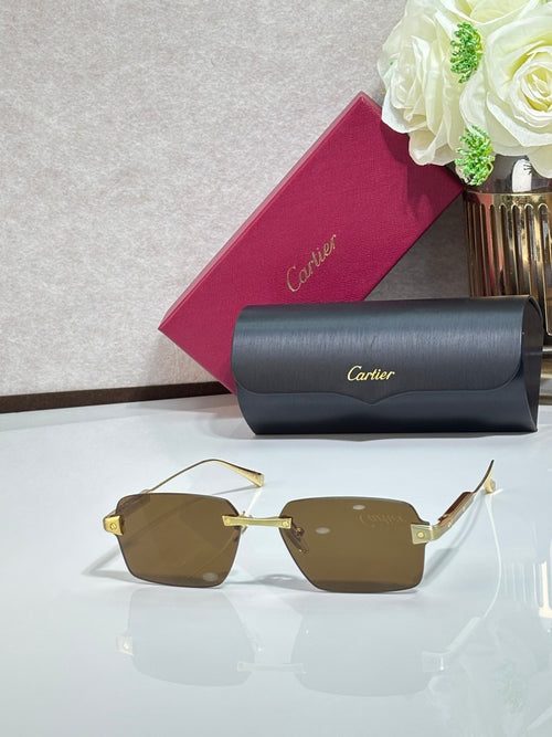 Sunglasses with olive lenses, gold metal frame, and gray case