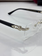 Clear eyeglasses close-up: black temple with metal hinge and visible screw detail.