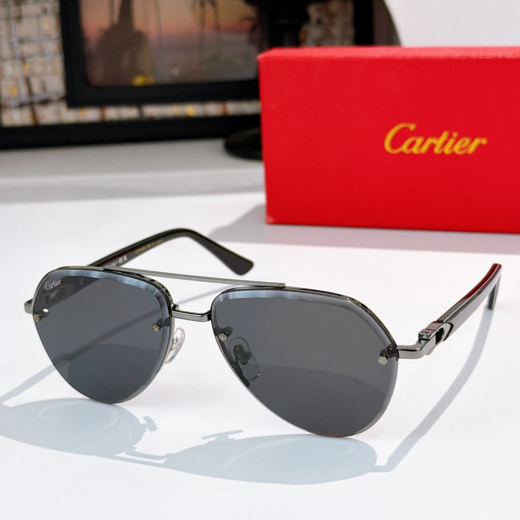 Sunglasses with dark metal frame and dark lenses with black temples