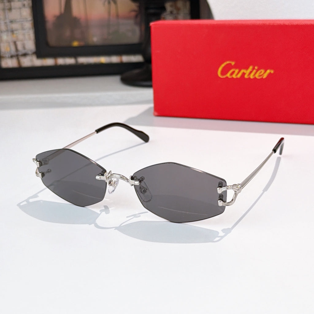 Sunglasses with silver metal frame, dark gray tinted lenses, black temple arms