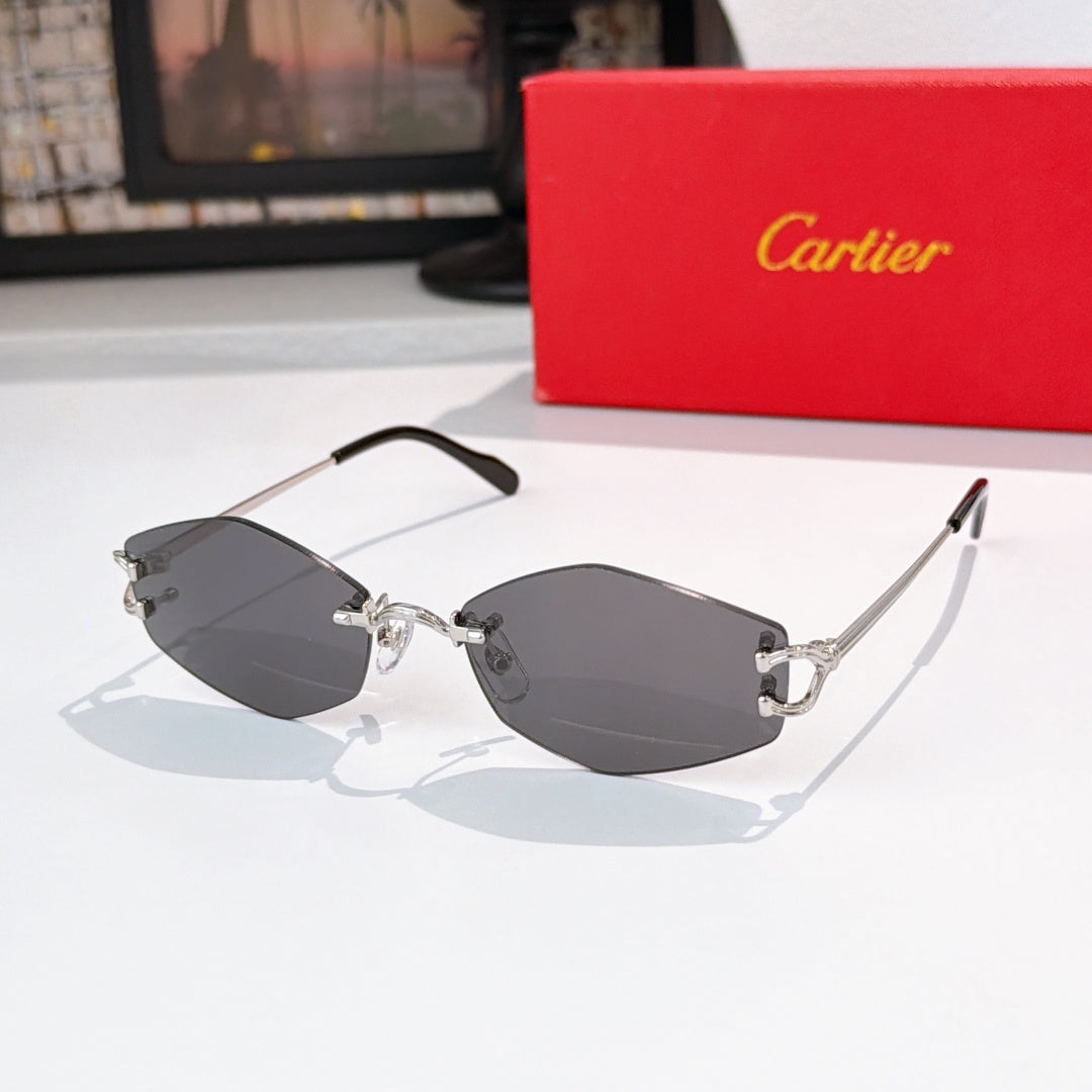 Sunglasses with silver metal frame, dark gray tinted lenses, black temple arms