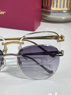 Cartier sunglasses close-up with mixed silver and gold frame and dark lens