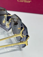 Close-up of Cartier sunglasses showing gold-tone hinges and dark tinted lenses