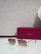 Gold-tone rectangular eyeglasses with tinted lenses and dark temples