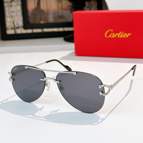 Aviator sunglasses with silver metal frame and dark gray tinted lenses