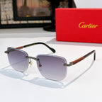 Cartier glasses with purple lenses, silver-toned frame, tortoise temple accents