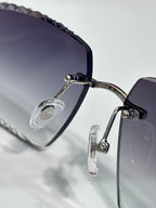 Eyeglasses hinge detail with clear lenses and metal frame; dark temple and arm