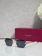 Cartier sunglasses with gold frame and black-tinted lenses