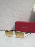 Brown frame eyeglasses with amber-tinted lenses and gold-tone accents