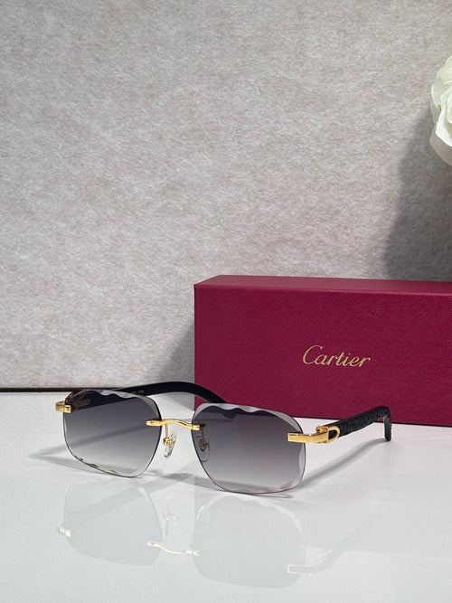 Black frame eyeglasses with dark gray lenses and gold-tone temples
