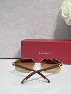 Brown patterned eyeglasses with maroon tinted lenses and gold-tone frame