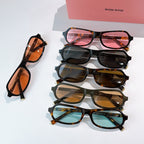Assorted sunglasses set with mixed frames and tinted lenses, including black and tortoiseshell