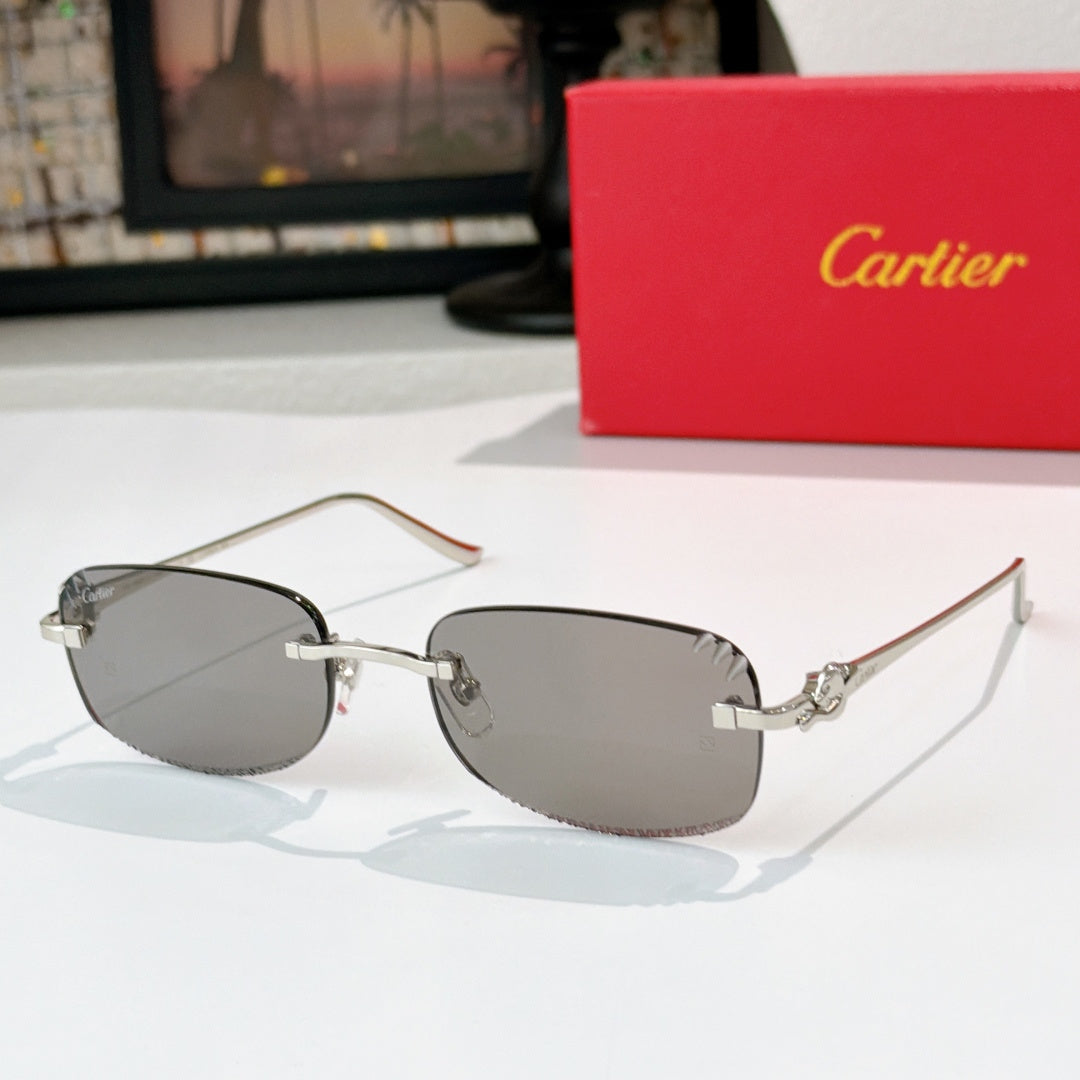 Cartier glasses with silver frames and dark gray tinted lenses, metal temples