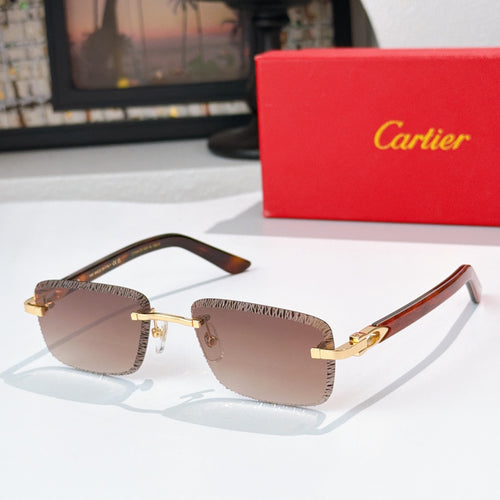Fashion glasses with brown tortoise frames and tinted light lenses, gold-tone accents