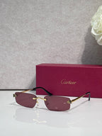 Metal-framed eyeglasses with plum-tinted lenses and black temples
