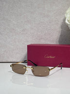 Metal-framed eyeglasses with brown-tinted lenses and black temples