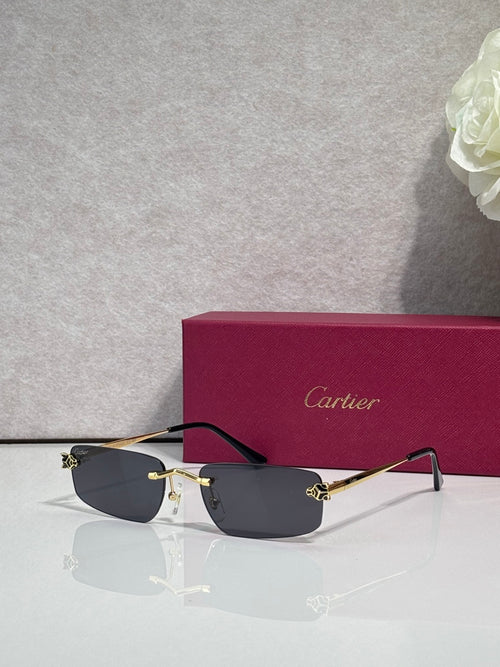 Metal-framed eyeglasses with dark gray lenses and black temples