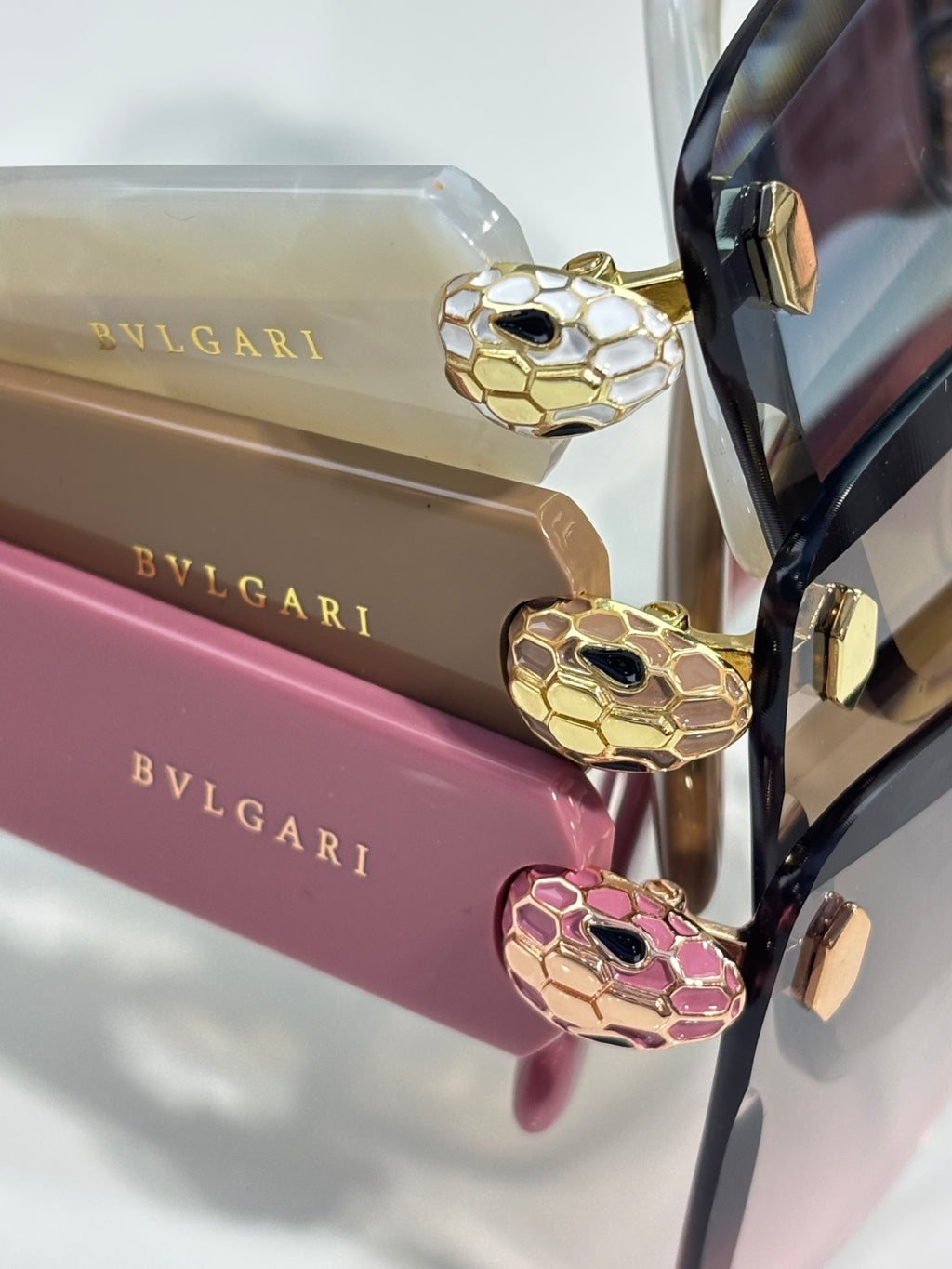 Sunglasses temple closeup with gold snake-like emblem on colored frame arms