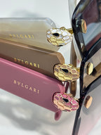 Sunglasses temple closeup with gold snake-like emblem on colored frame arms