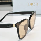 Cat-eye sunglasses close-up of temple with gold strip, black frame and beige lenses