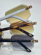 Close-up of glasses with tortoiseshell arms, gold hinges, and tinted lenses