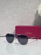 Cartier sunglasses, silver and gold frame with dark lenses, side profile